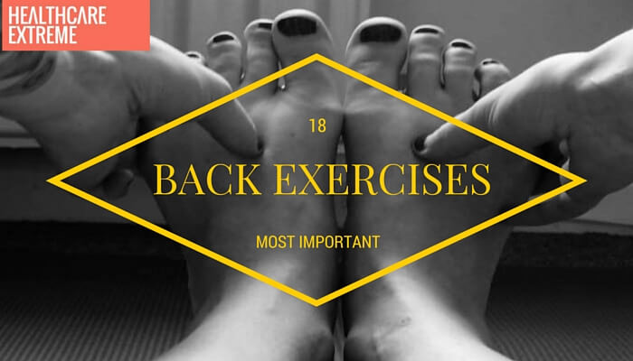 What are the most effective back exercises, ranked by order of importance?  - Quora